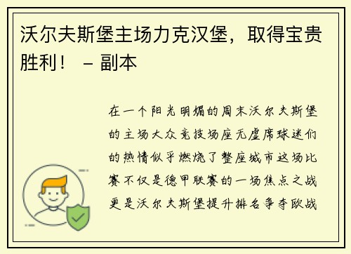 沃尔夫斯堡主场力克汉堡，取得宝贵胜利！ - 副本